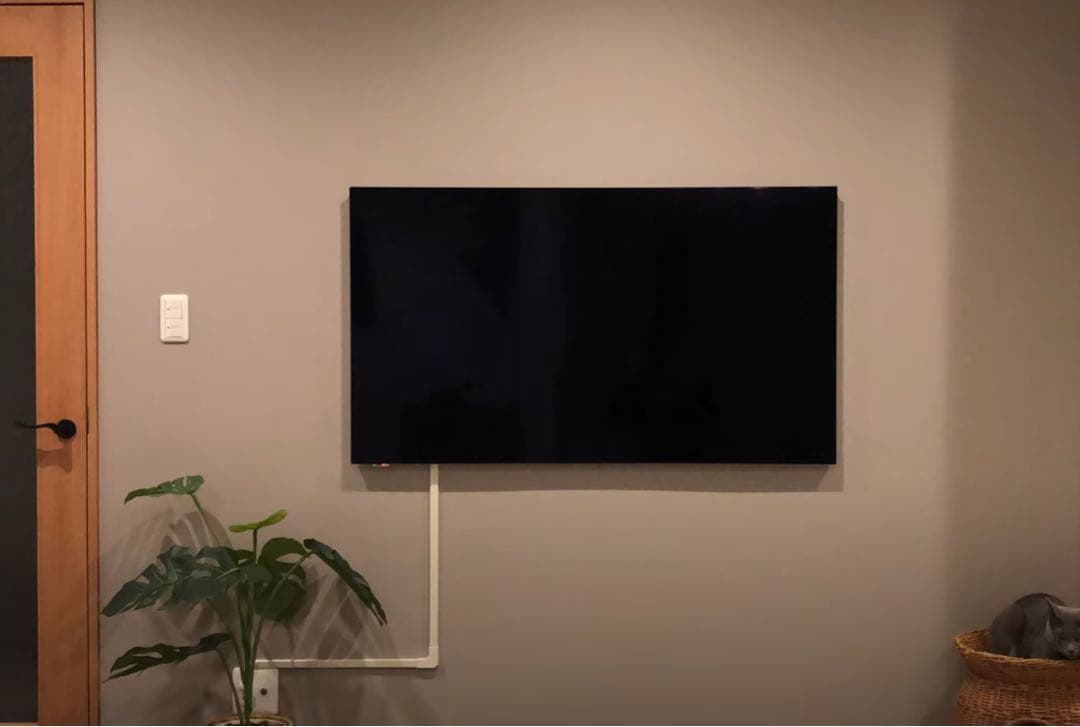 パナソニック 55V型 4K有機EL VIERA ウォールフィットテレビ