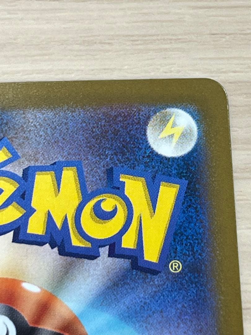 に*こ様 メガカイリューSAR