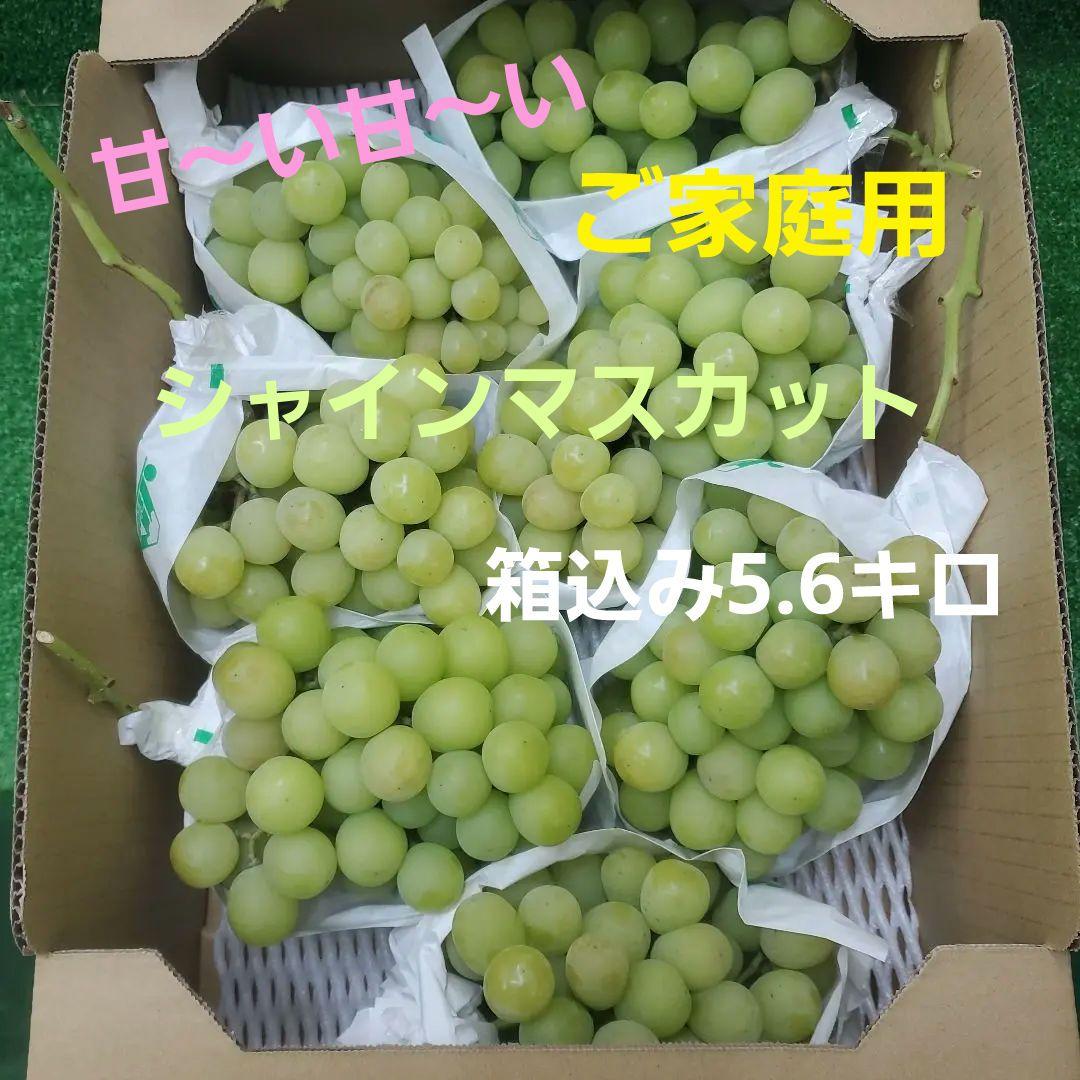 5️⃣ 山梨県産 シャインマスカット７房入り 箱込み5.6キロ