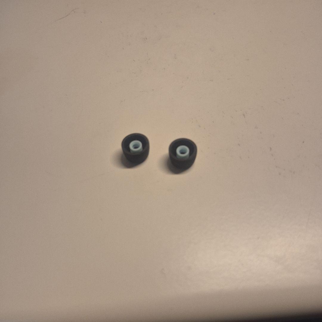 SONY WF-1000XM5　専用ケース付き