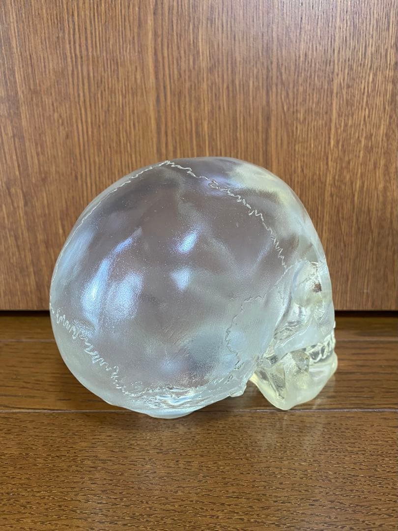 骸骨 スカル 頭蓋骨 ドクロ 髑髏 ガイコツ 置物 インディジョーンズ クリア