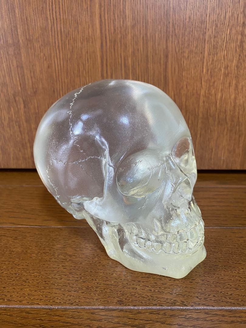 骸骨 スカル 頭蓋骨 ドクロ 髑髏 ガイコツ 置物 インディジョーンズ クリア