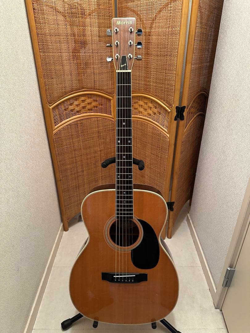 Morris(モーリス) F-20 King Gnu 常田大希氏使用モ