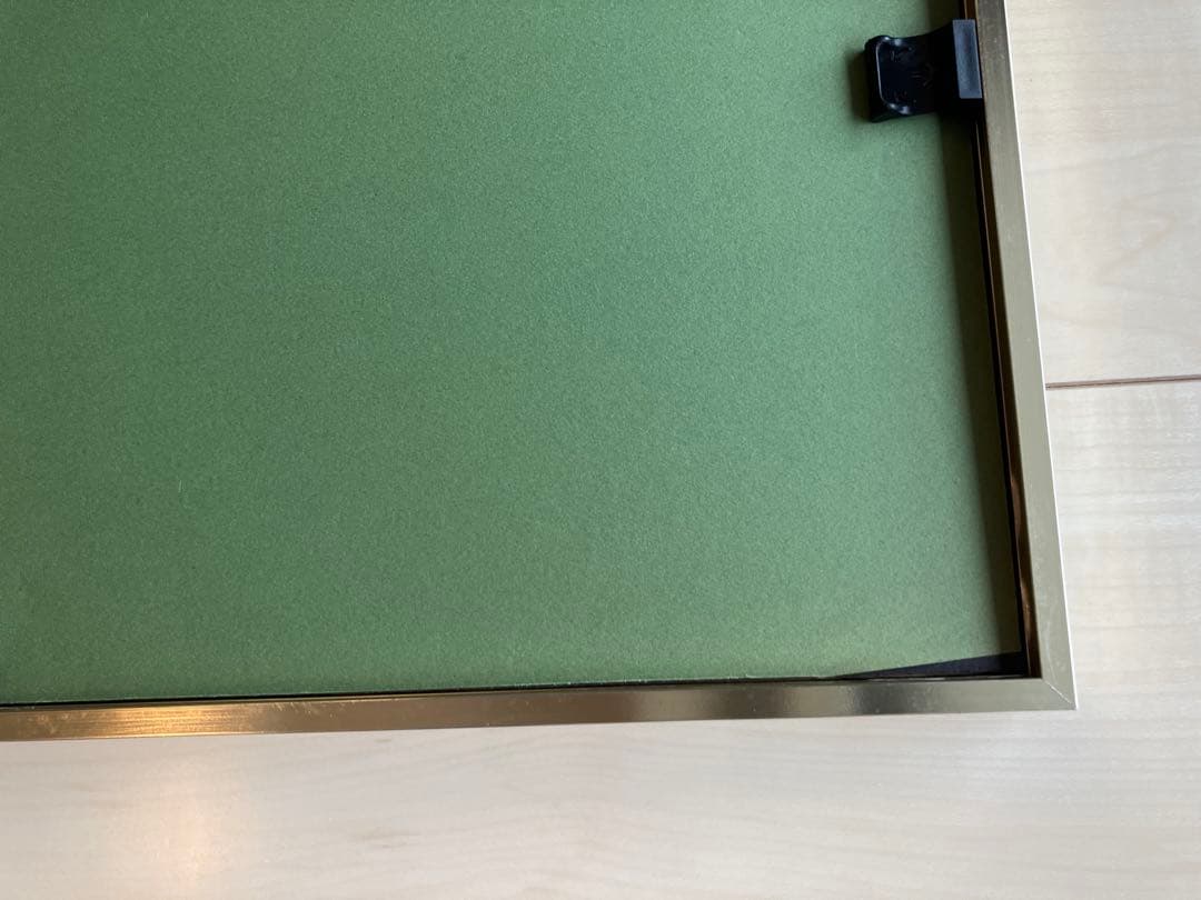 ポールアイズピリ　花のリトグラフ