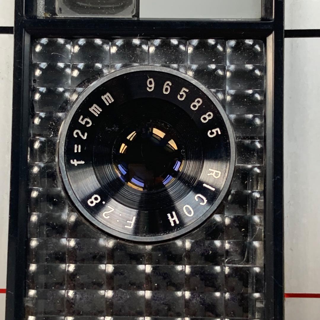 RICOH AUTO HALF E リコー オートハーフ E レッドフラワー