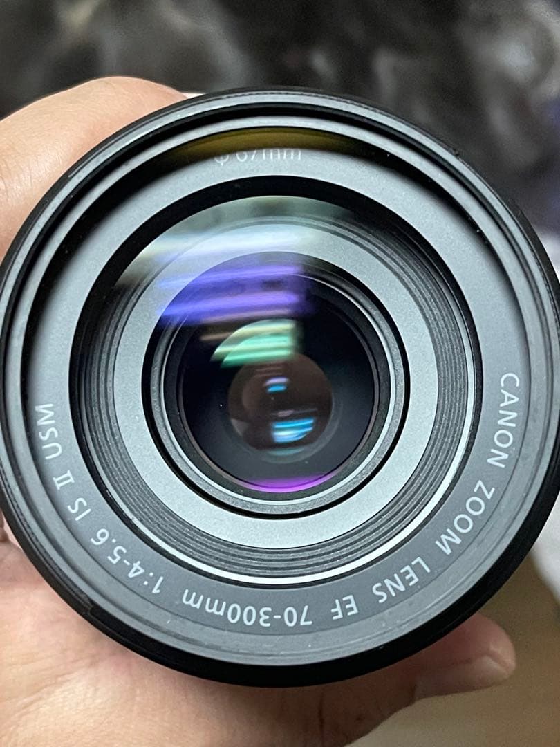 そらちゃん EF70-300mm F4-5.6 IS II USM