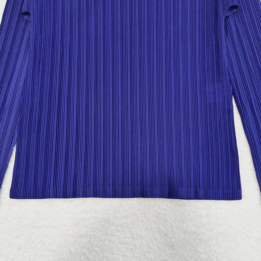 未使用に近い✨プリーツプリーズ タートルネック トップス 長袖 イッセイミヤケ