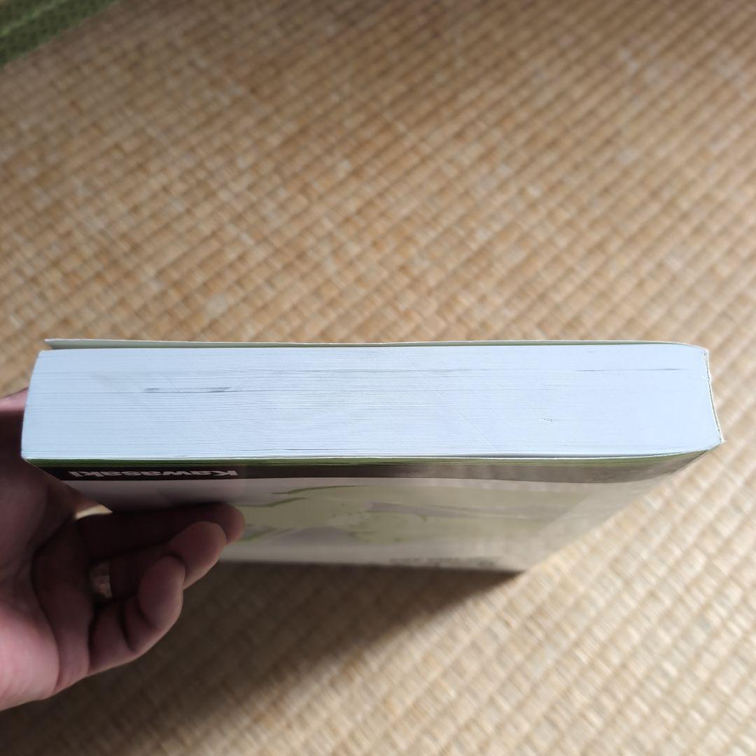 Kawasaki Ninja 1000 ABS サービスマニュアル