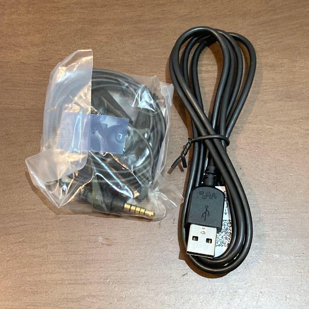 ★レア★ SONYウォークマンNW-S315 16GBミッキーデザイン