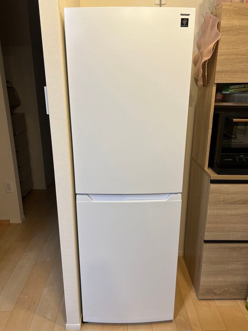 2025年製　プラズマクラスター冷蔵庫2ドア