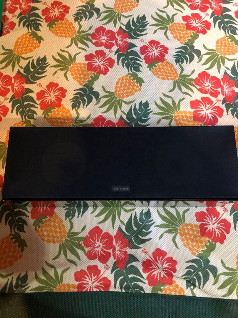 ONKYO オンキョー センタースピーカーシステム D-509C センター