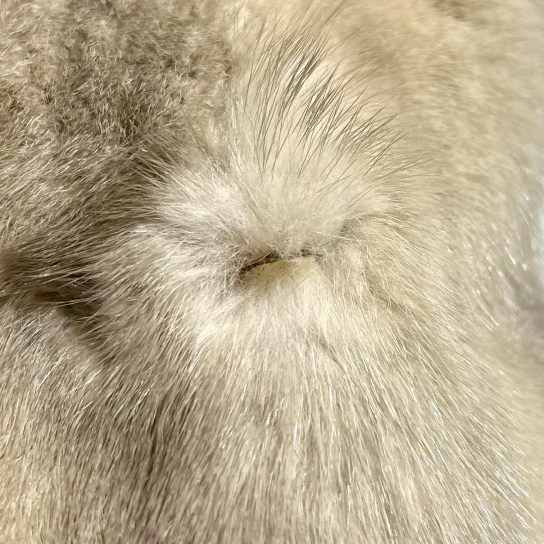 サファイヤミンク ロング リアルファー コート 毛皮 毛並み◎ レディース