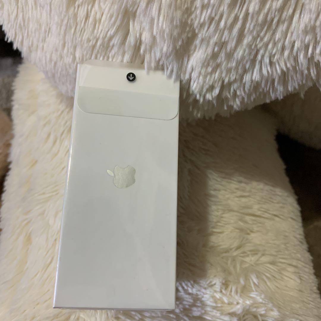 APPLE MWP22J/A (airpods pro)新品