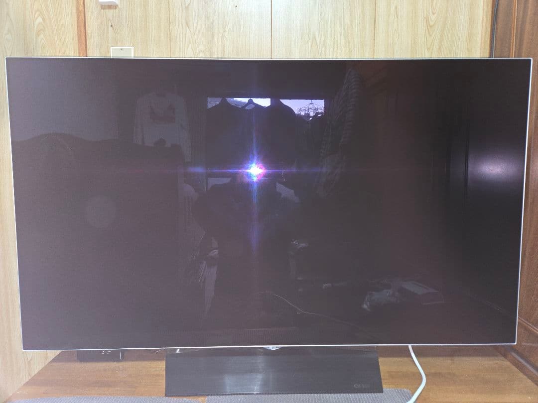 2016年製 LG有機ELテレビ OLED55B6P