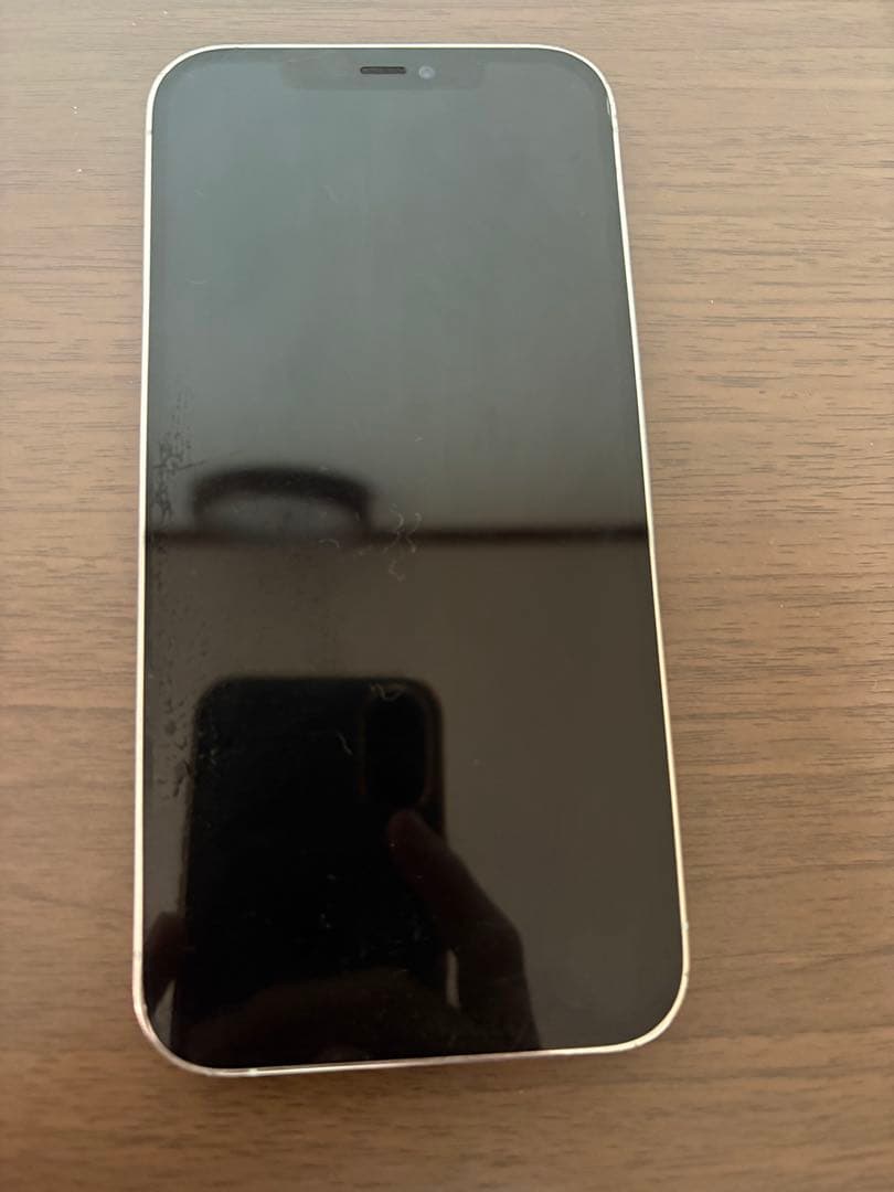 Apple iPhone 12 Pro Max 本体　ジャンク品 水没