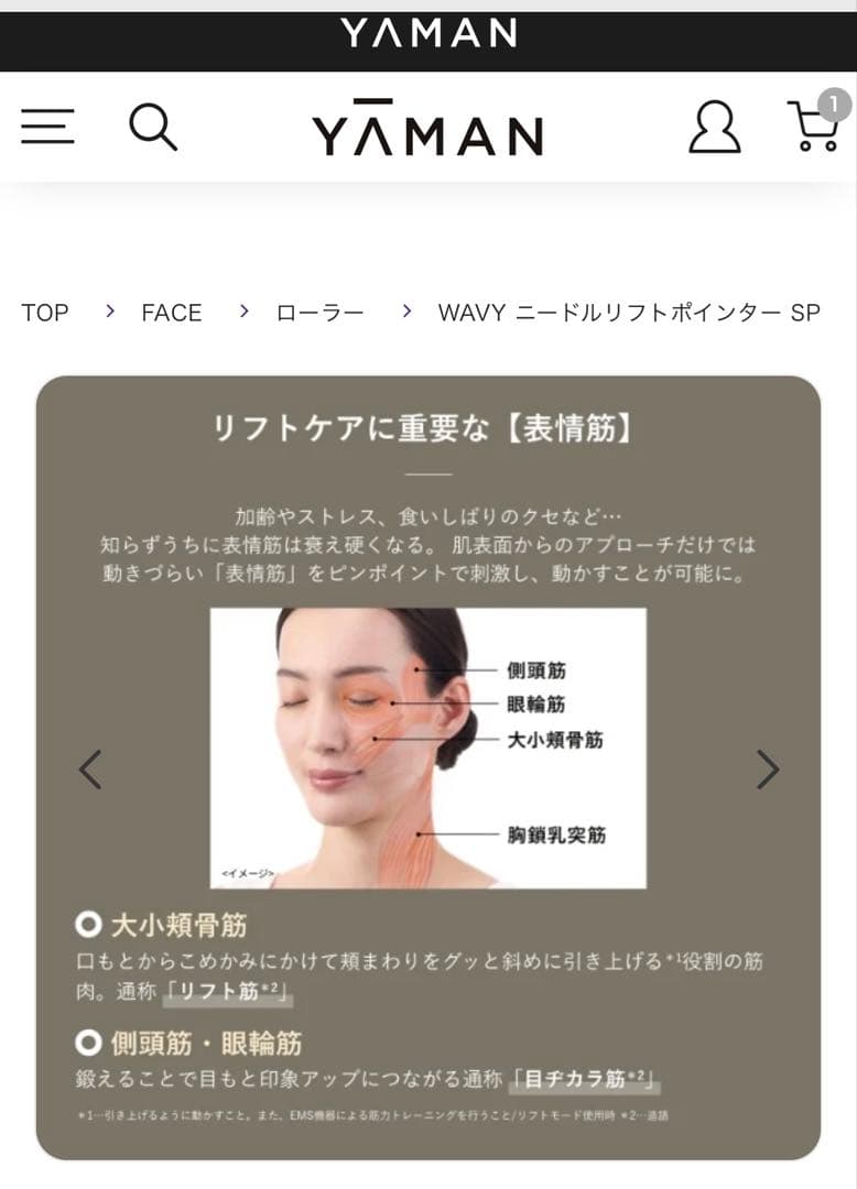 新品　YA-MAN WAVYニードルリフトポインターSP