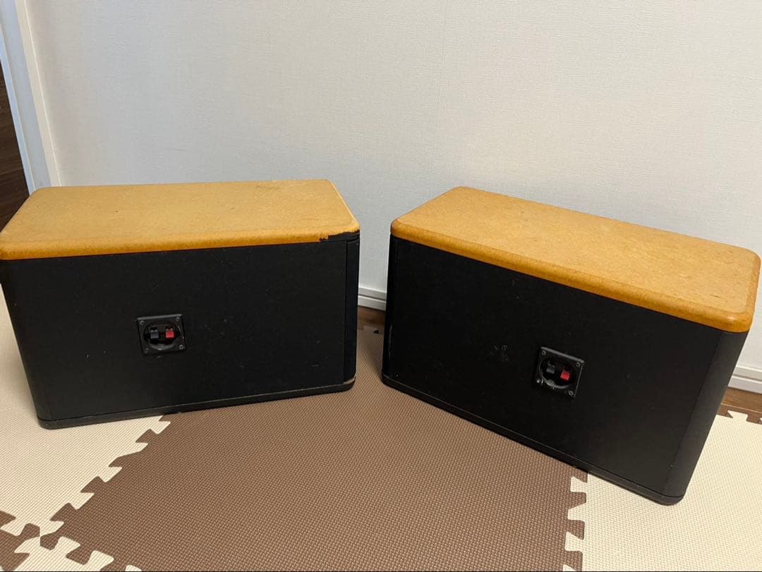 スピーカー・ウーファー BOSE 301AV