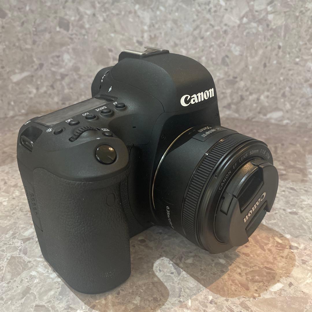Canon EOS 6d mark2 ボディandレンズand充電器