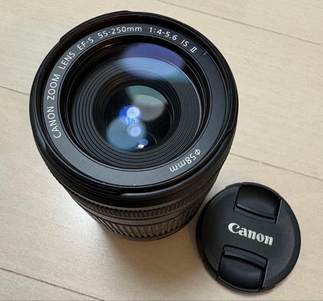 Canon 望遠ズームレンズ EF-S 55-250mm
