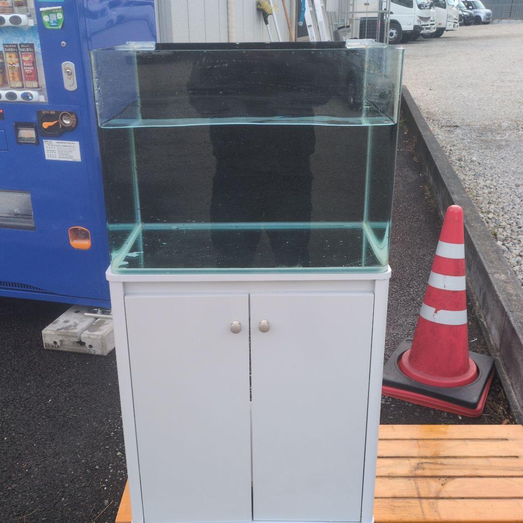 たらこスパゲッティ 水槽、水槽台、フィルターセット