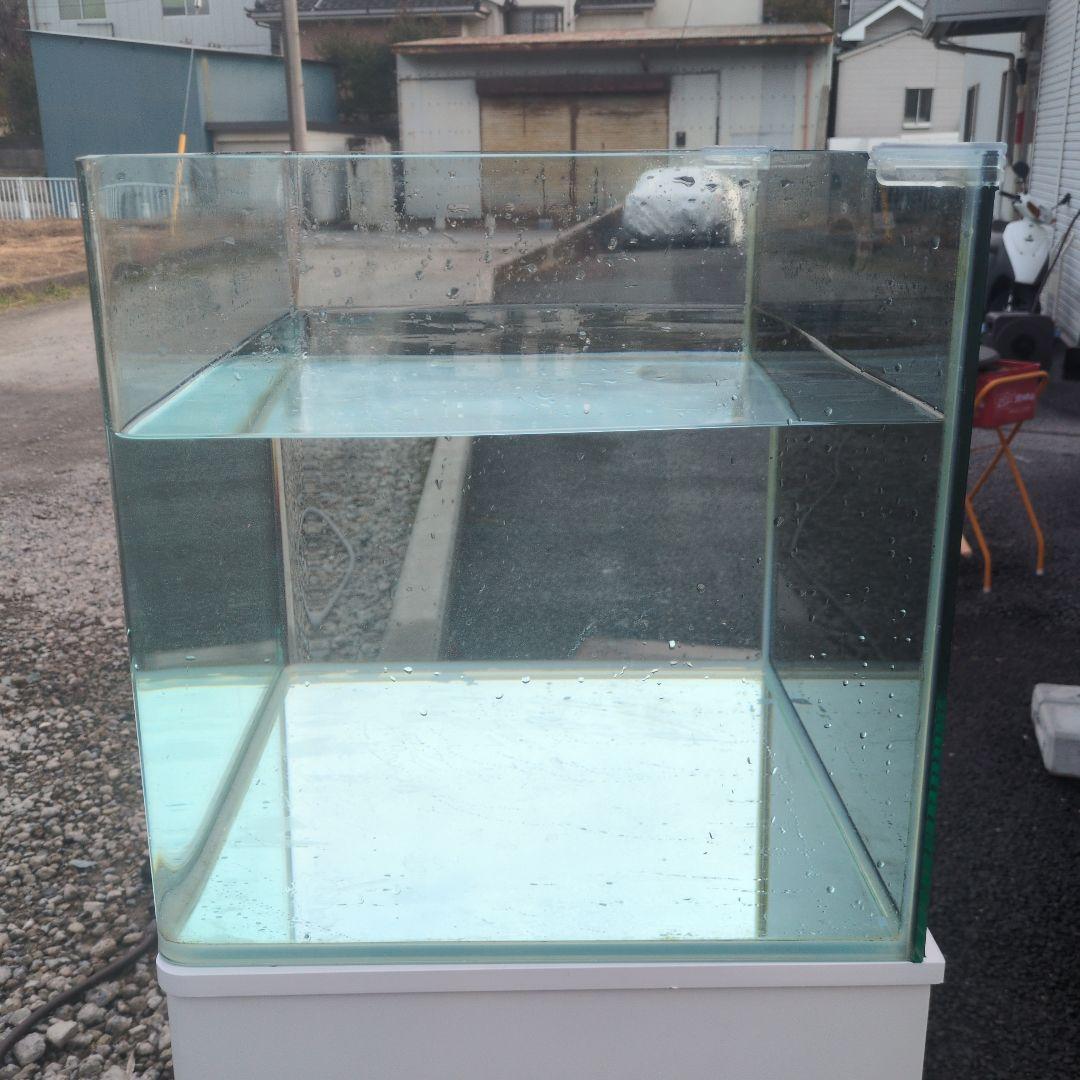 たらこスパゲッティ 水槽、水槽台、フィルターセット