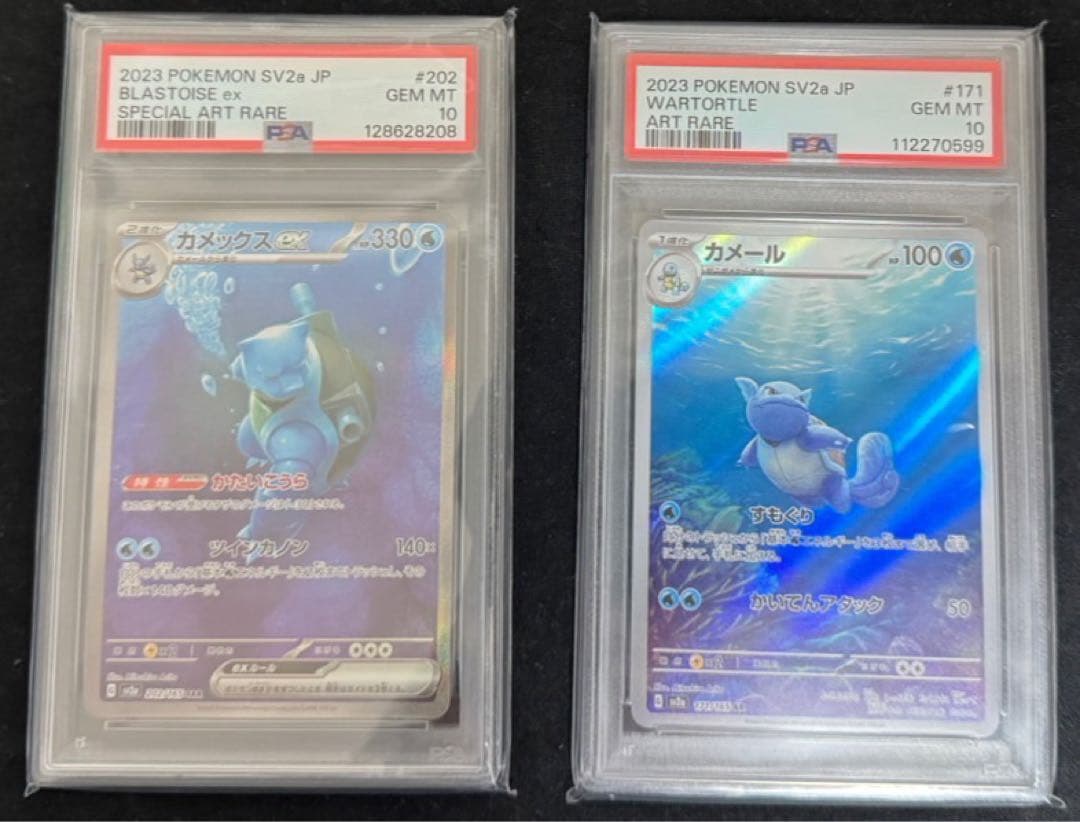 【PCA10】カメックスex SAR カメール AR