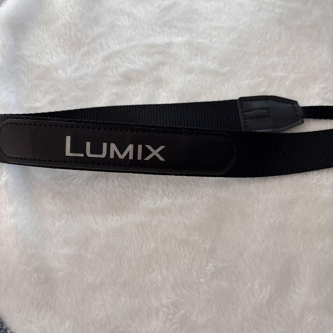 Panasonic LUMIX DC-FZ85 パナソニックデジタルカメラ 4K