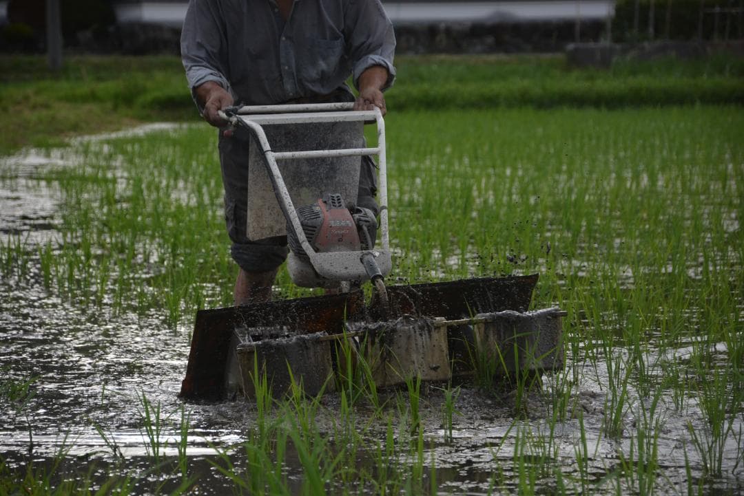 2025年朝日米10kg玄米　たけ爺ブランド米 栽培期間中無化学肥料・無農薬栽培