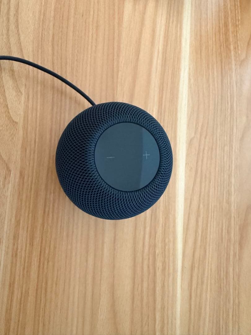 Apple Pod mini - ミッドナイト