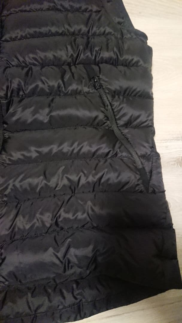 Arc'teryxアークテリクスCerium LT VestセリウムLTベスト