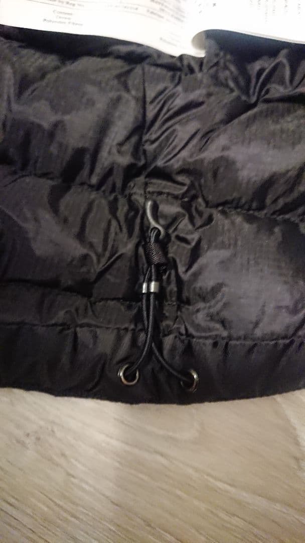 Arc'teryxアークテリクスCerium LT VestセリウムLTベスト