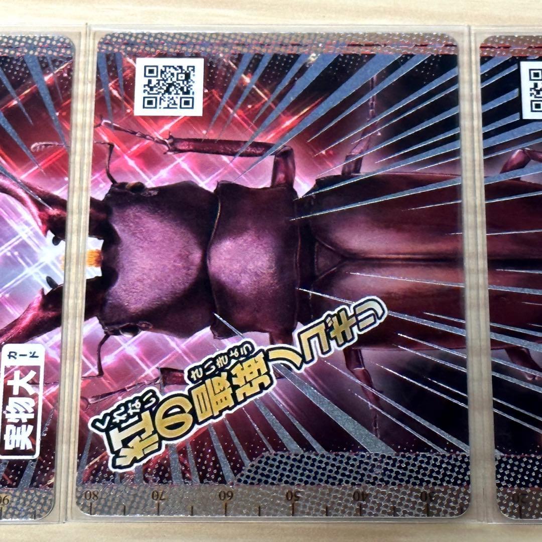 【新甲虫王者ムシキング】◆PR-G-30 ギラファケイスケレッド 当選品