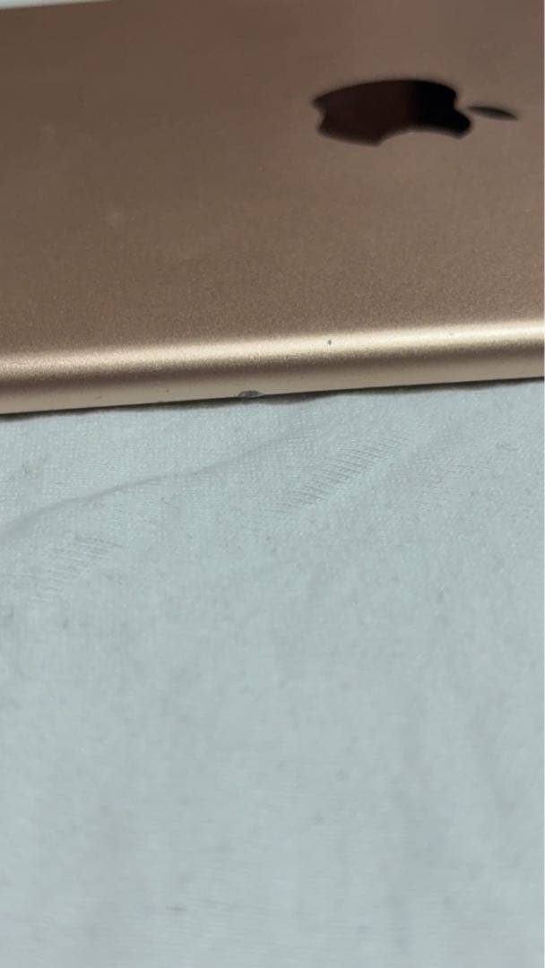 Apple iPad mini 5 ピンクゴールド 箱無し 本体のみ