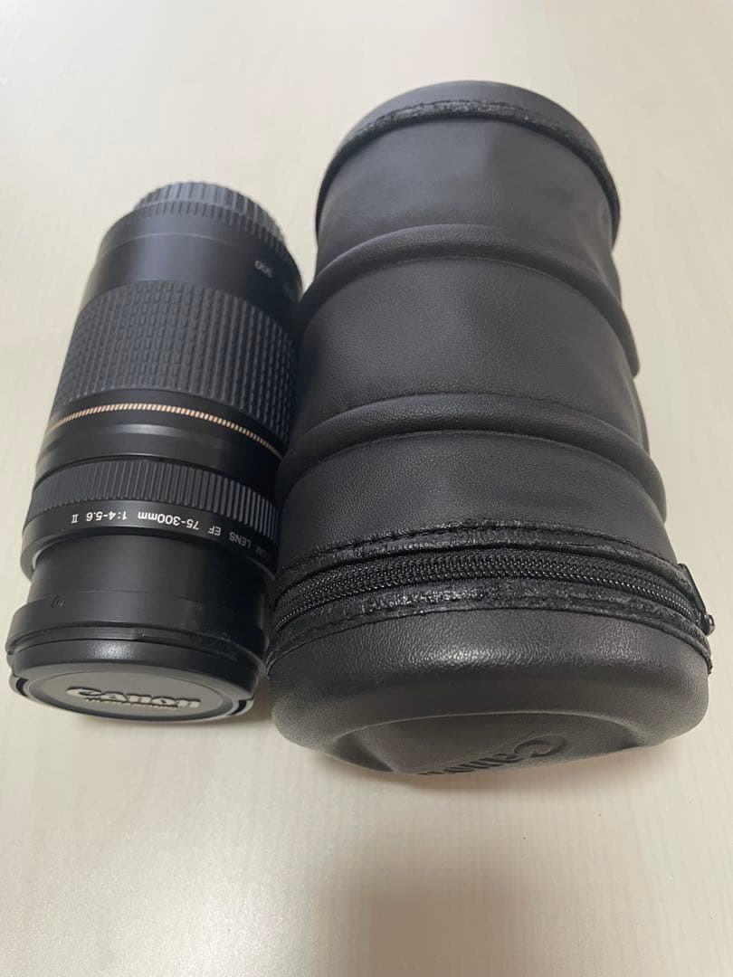 canon zoom LENS EF 75-300㎜　キャノン　望遠レンズ
