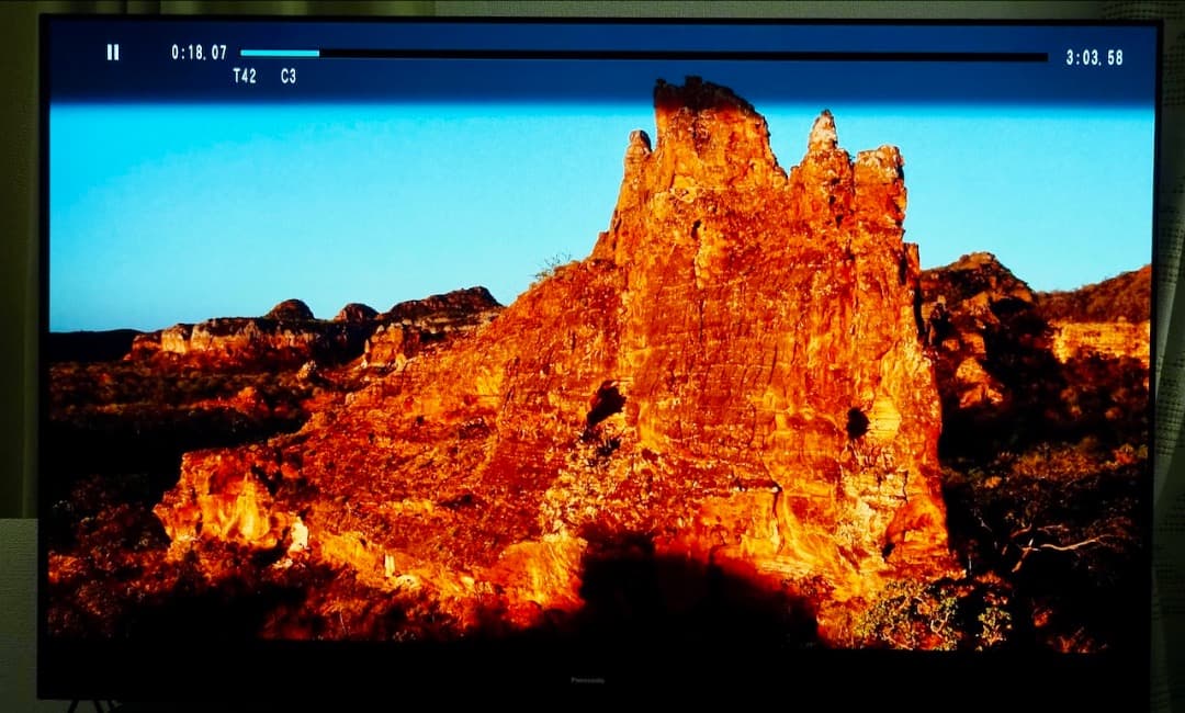 Panasonic GZ2000 55v 有機elテレビ