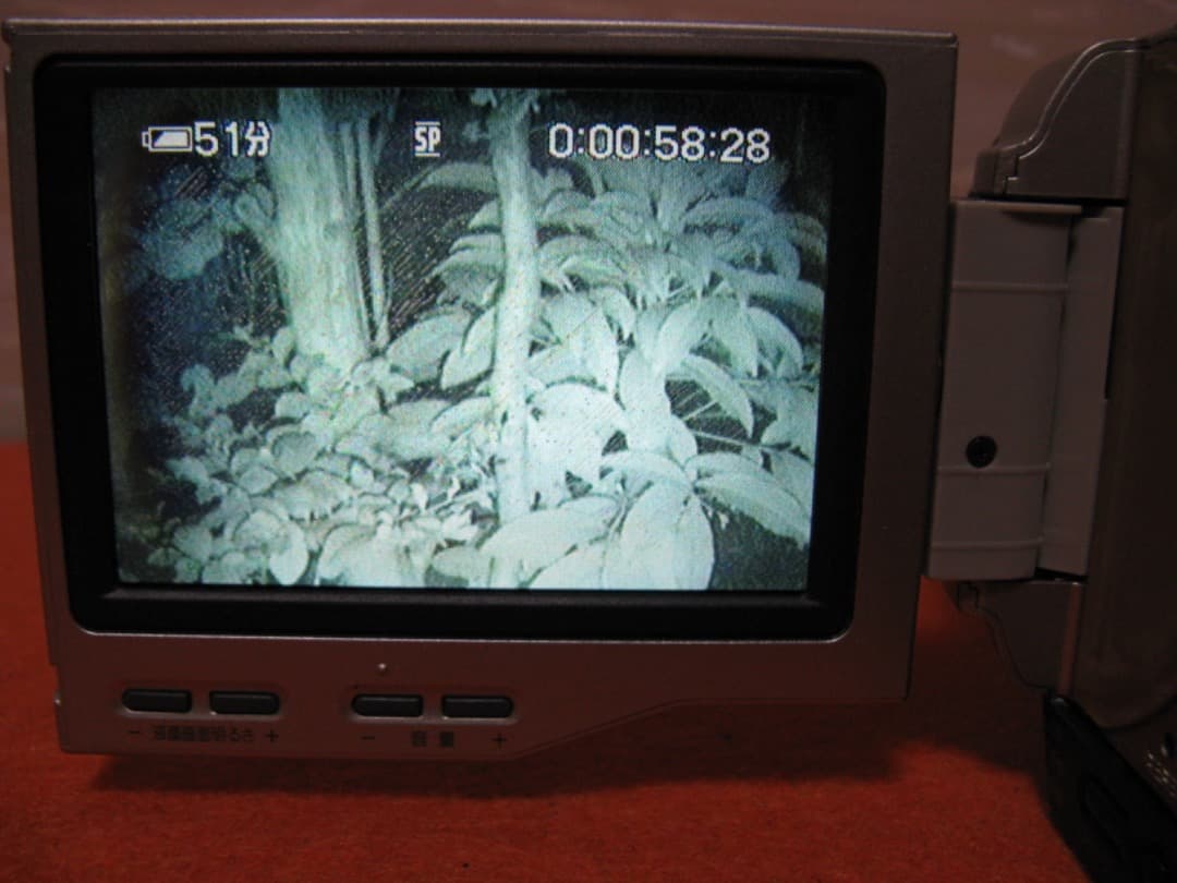 動作OK❗️☆SONYのMiniDV/ビデオカメラ・DCR-TRV10