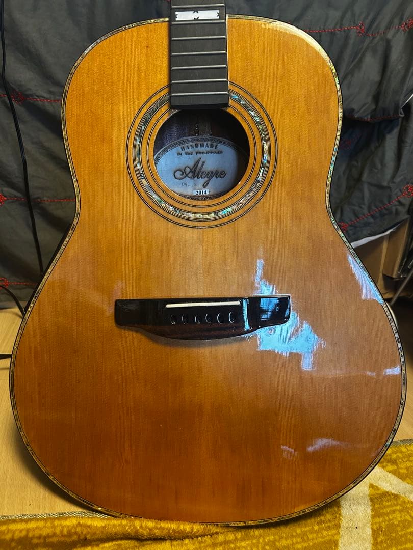 Alegre アコースティックギター　純正ピックアップ付