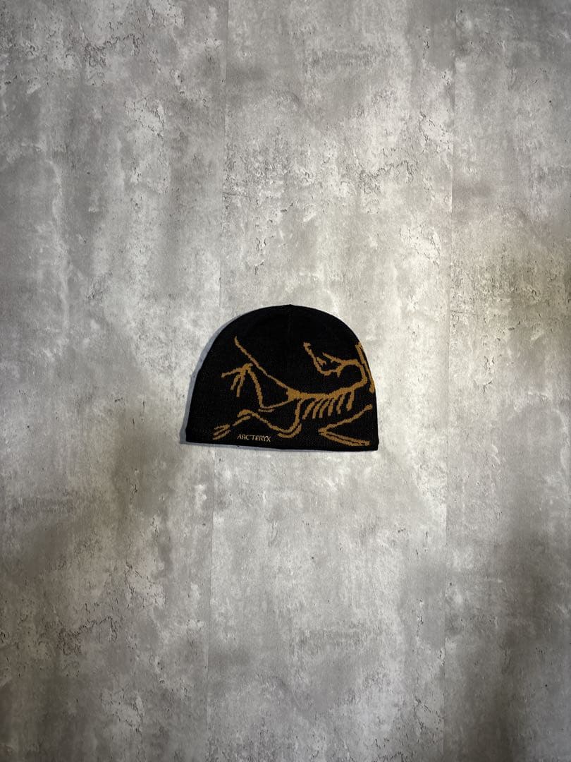 ARC'TERYX バード ヘッド トーク