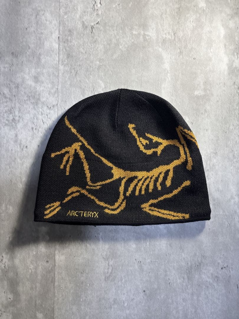 ARC'TERYX バード ヘッド トーク