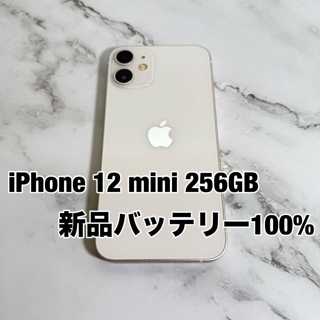 ★バッテリー100% iPhone 12 mini 256GB SIMフリー
