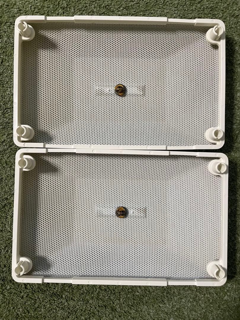 【希少良品】BOSE 101MMW シリアル連番鳥マーク品