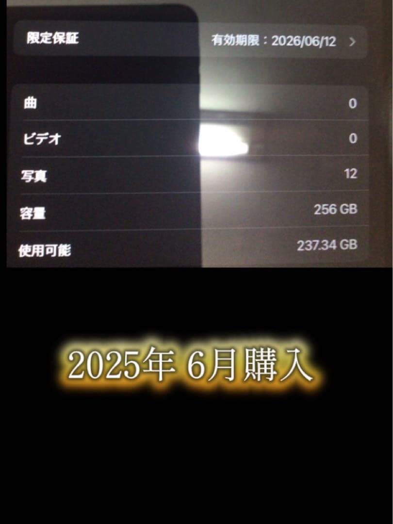 iPad 第11世代　Wi-Fiモデル 256GB ※ 箱無し