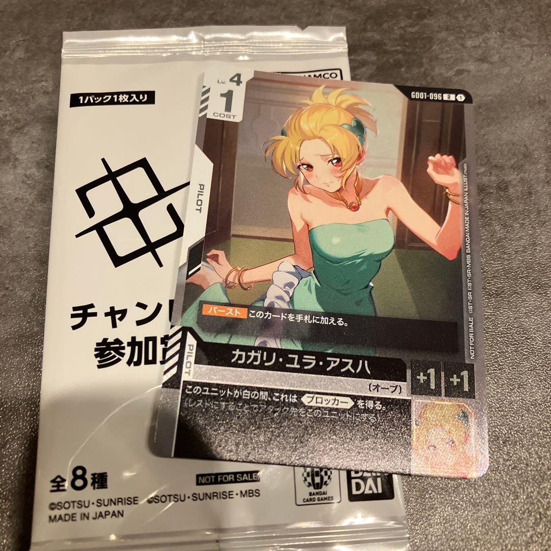 カガリ・ユラ・アスハ チャンピオンシップ