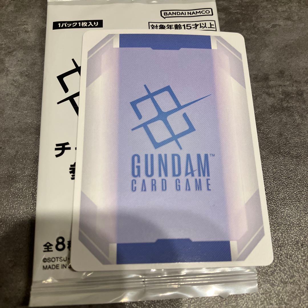 カガリ・ユラ・アスハ チャンピオンシップ