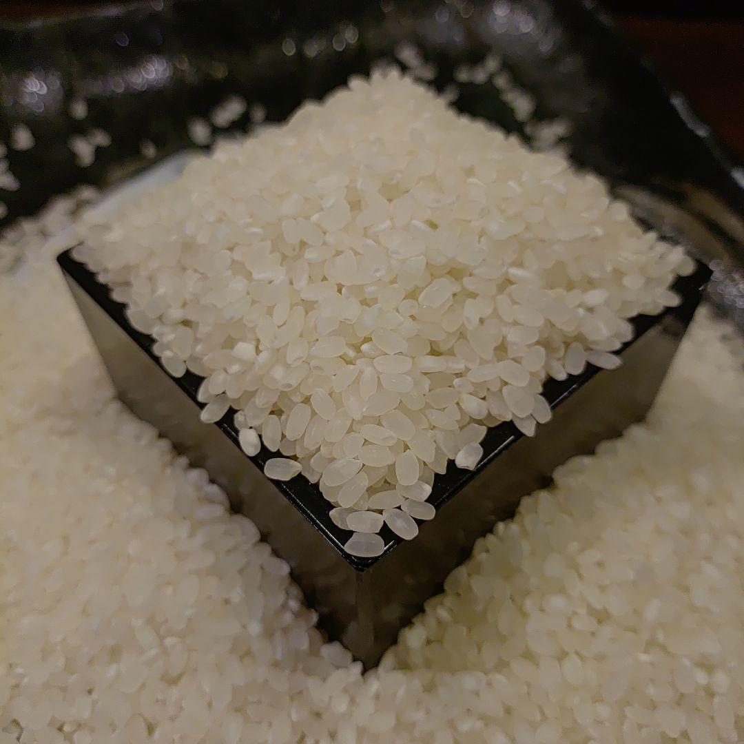 ヒノヒカリ 令和6年産 10kg 数量限定