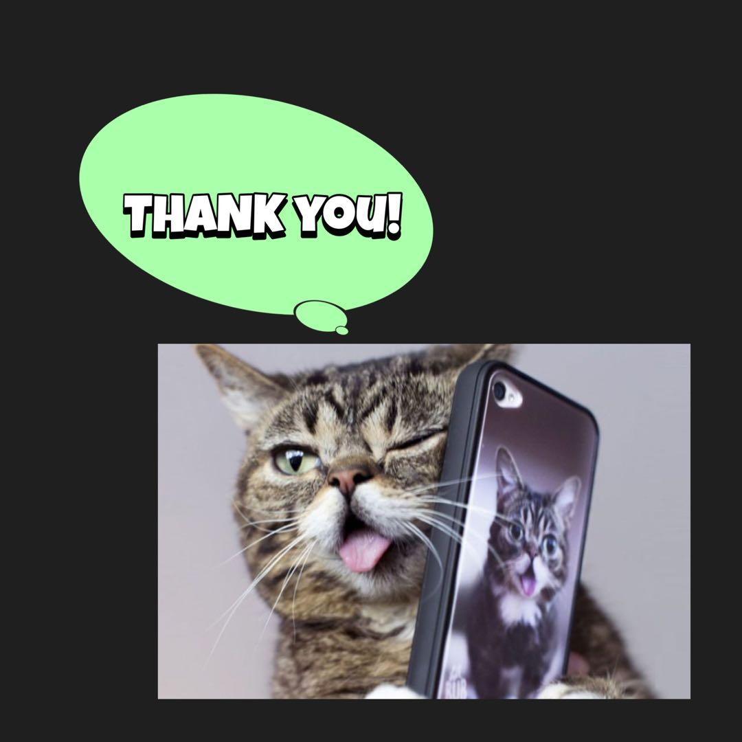 Incotex スラックス46 新品未使用タグ付 ウール100% インコテックス