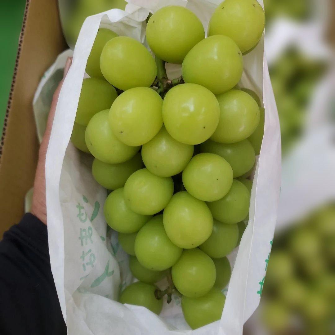 3️⃣ 山梨県産 シャインマスカット ９房入り 箱込み5.4キロ