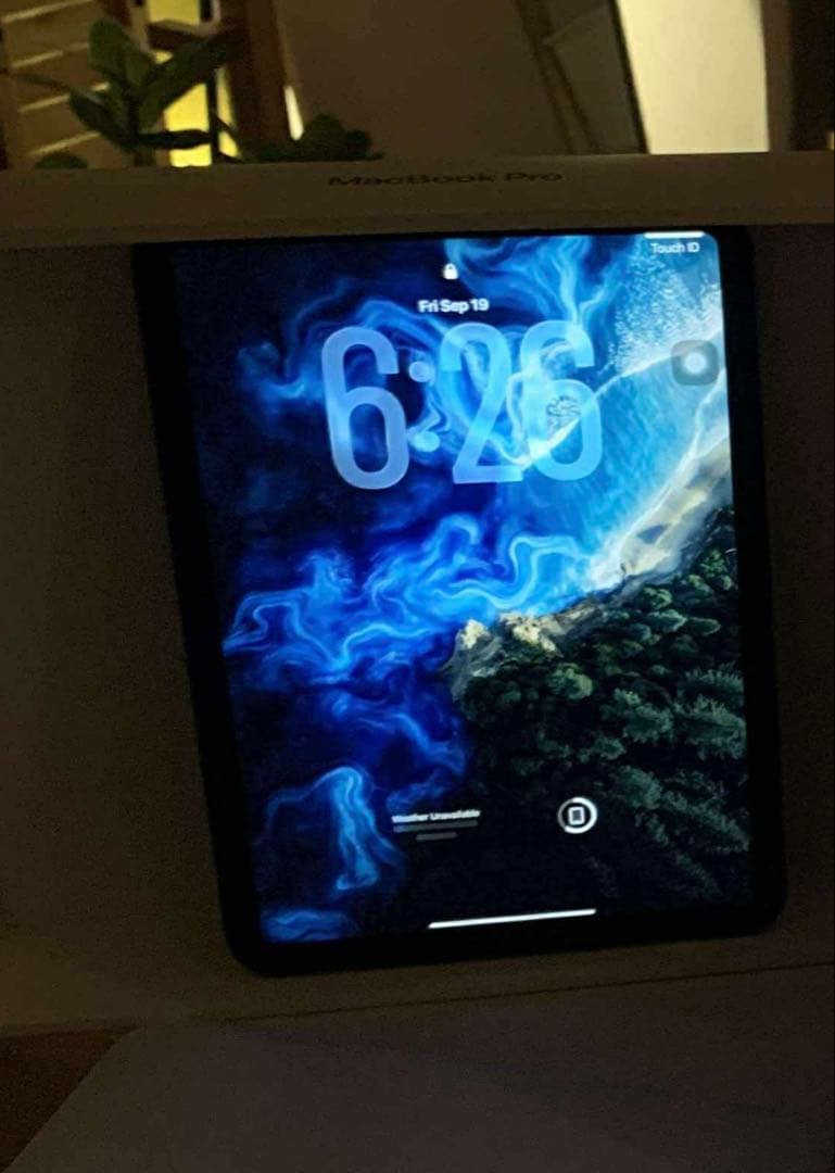 Apple iPad 本体 青