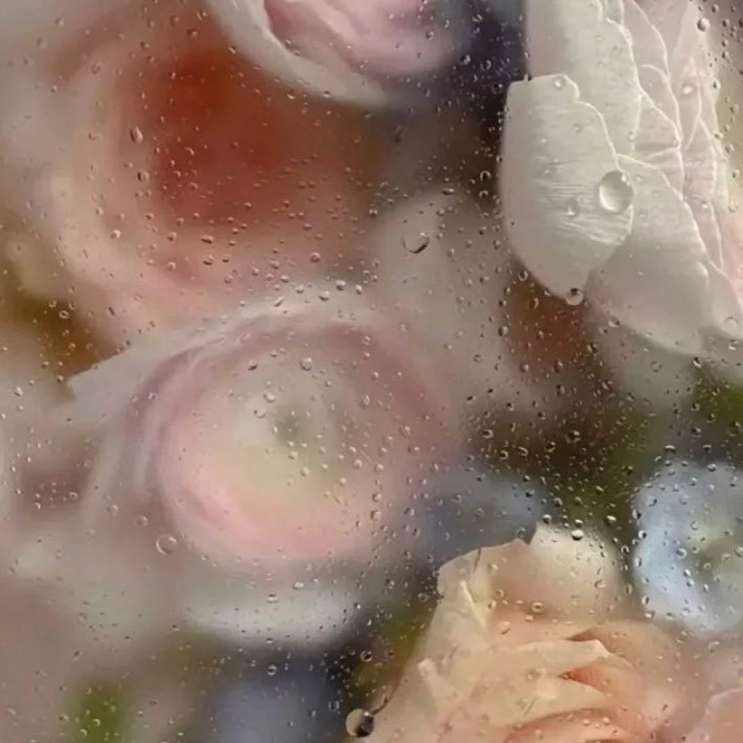 いしぽむぷりん