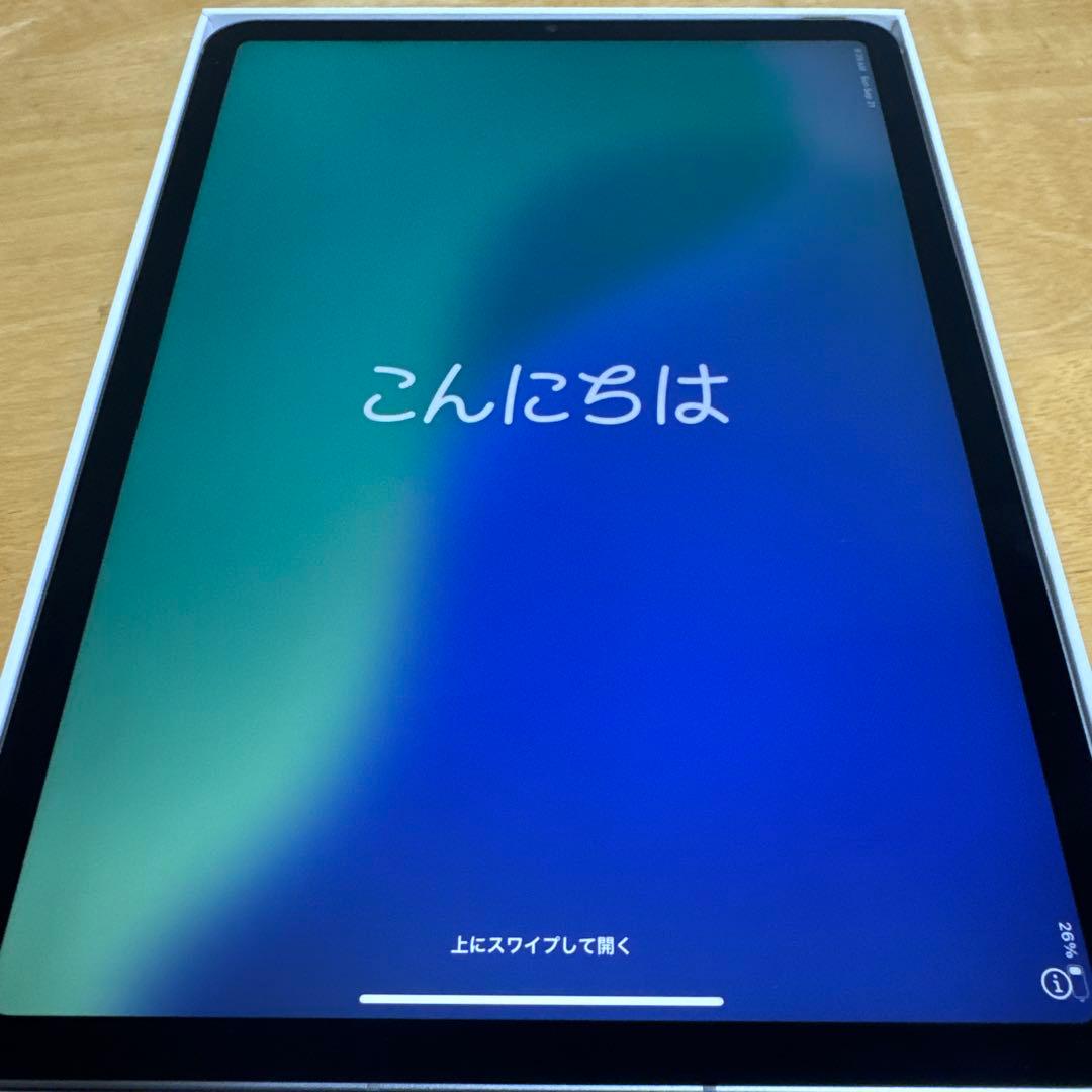 iPad Pro 第4世代 11インチ　256GB wifi+cellular